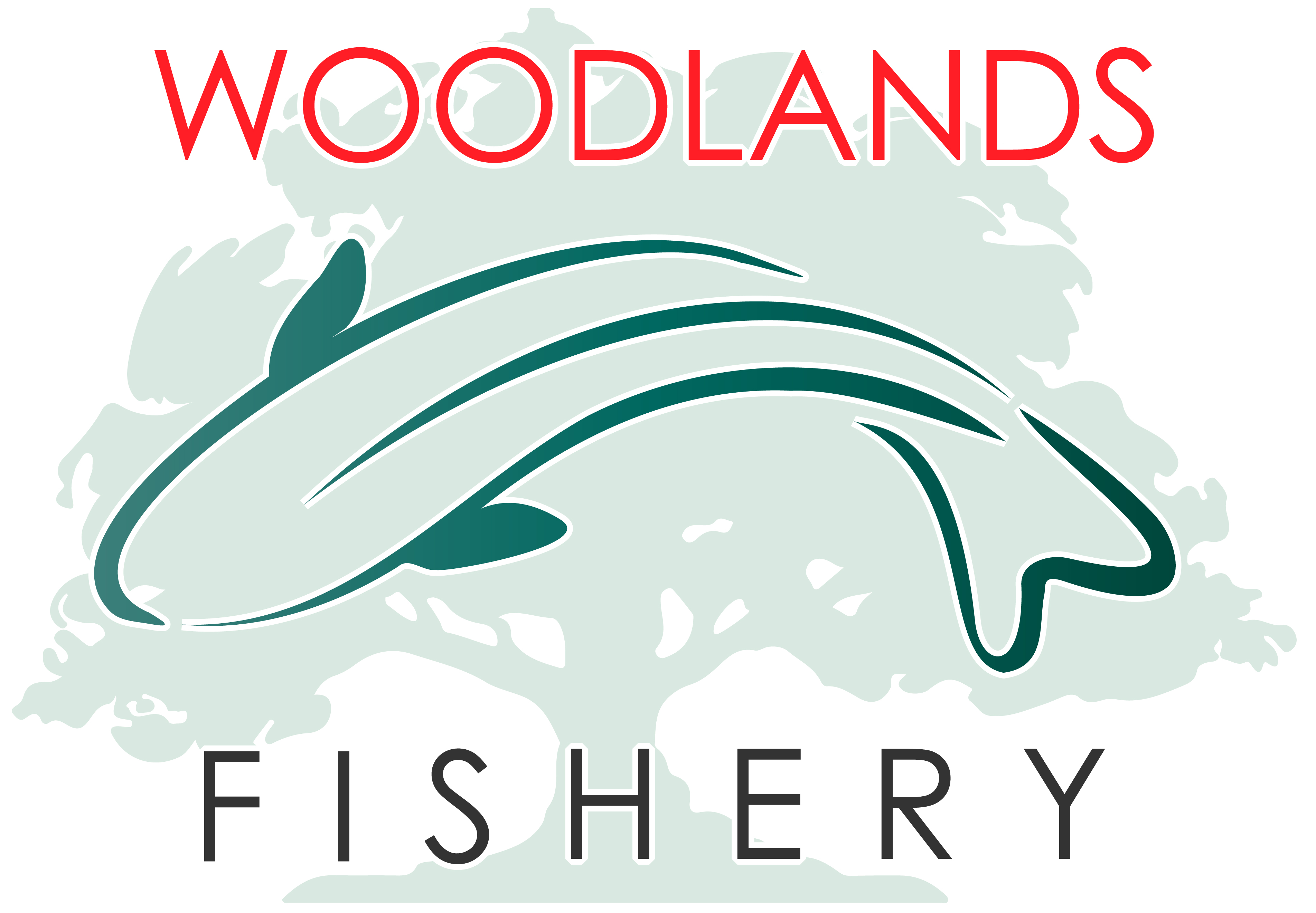 Woodlands fishery spilsby fishery rules