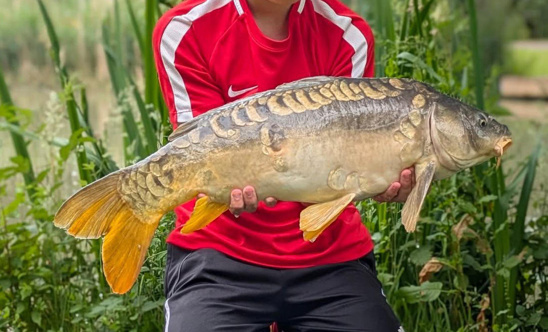 Fish caught at Ash Lake