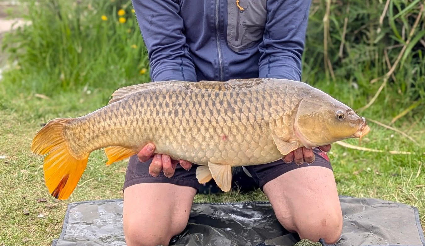 Fish caught at Ash Lake