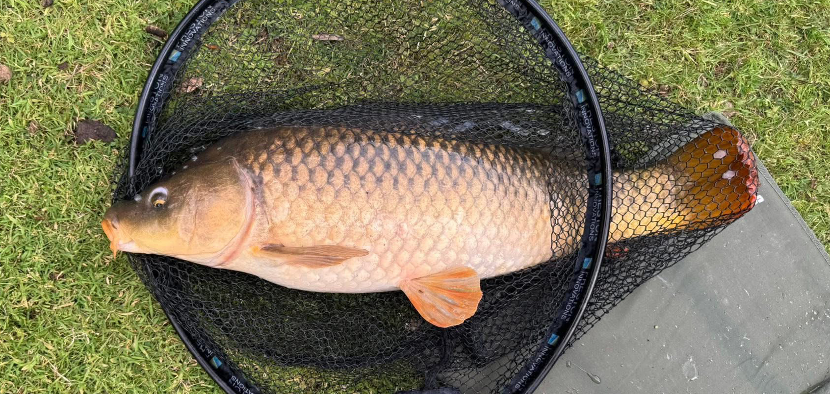 Fish caught at Ash Lake