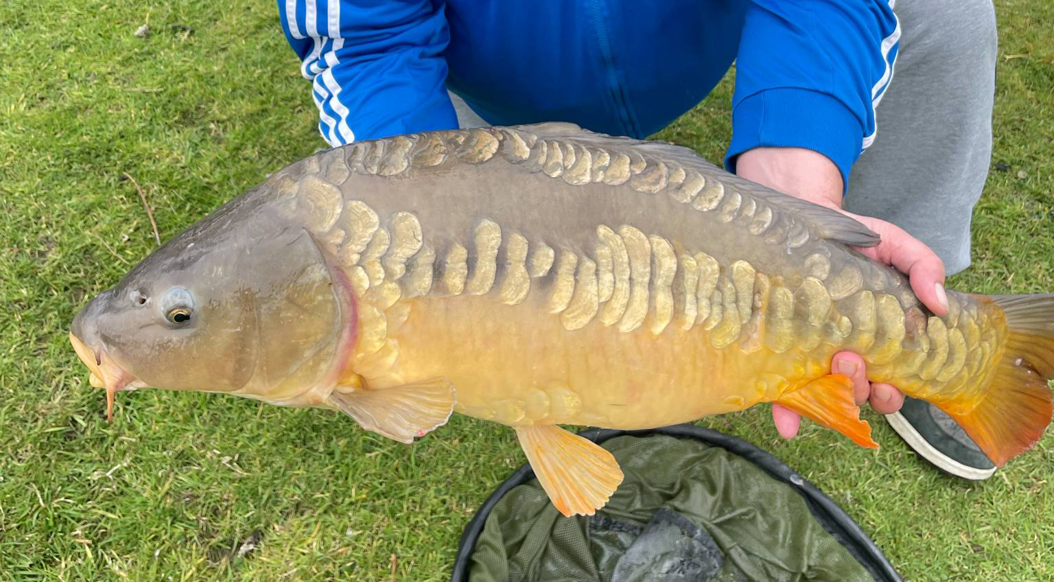 Fish caught at Ash Lake