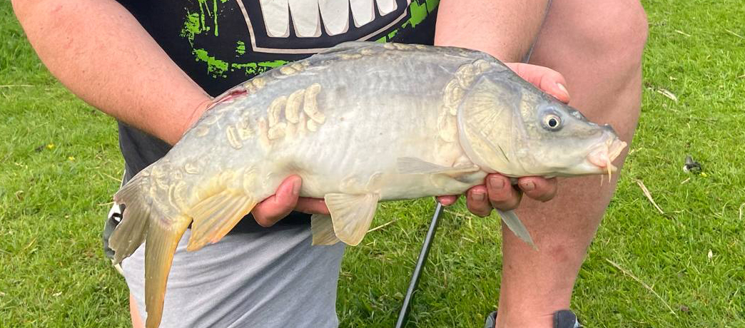 Fish caught at Ash Lake