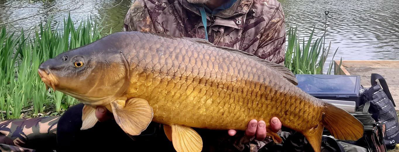 Fish caught at Hawthorn Lake