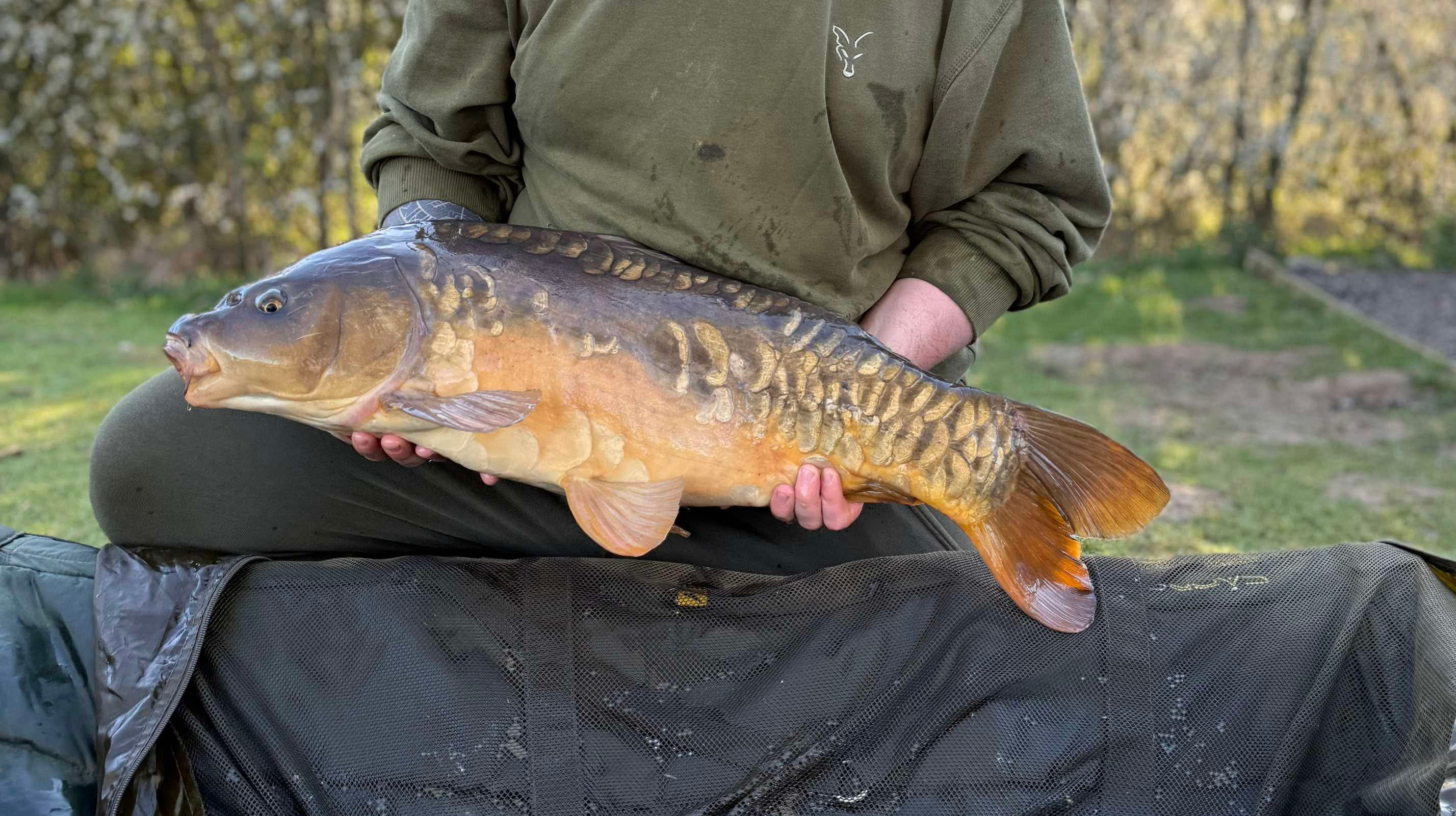 Fish caught at Hawthorn Lake