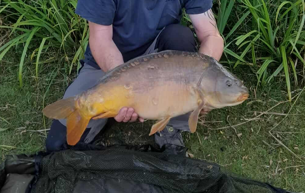 Fish caught at Hawthorn Lake