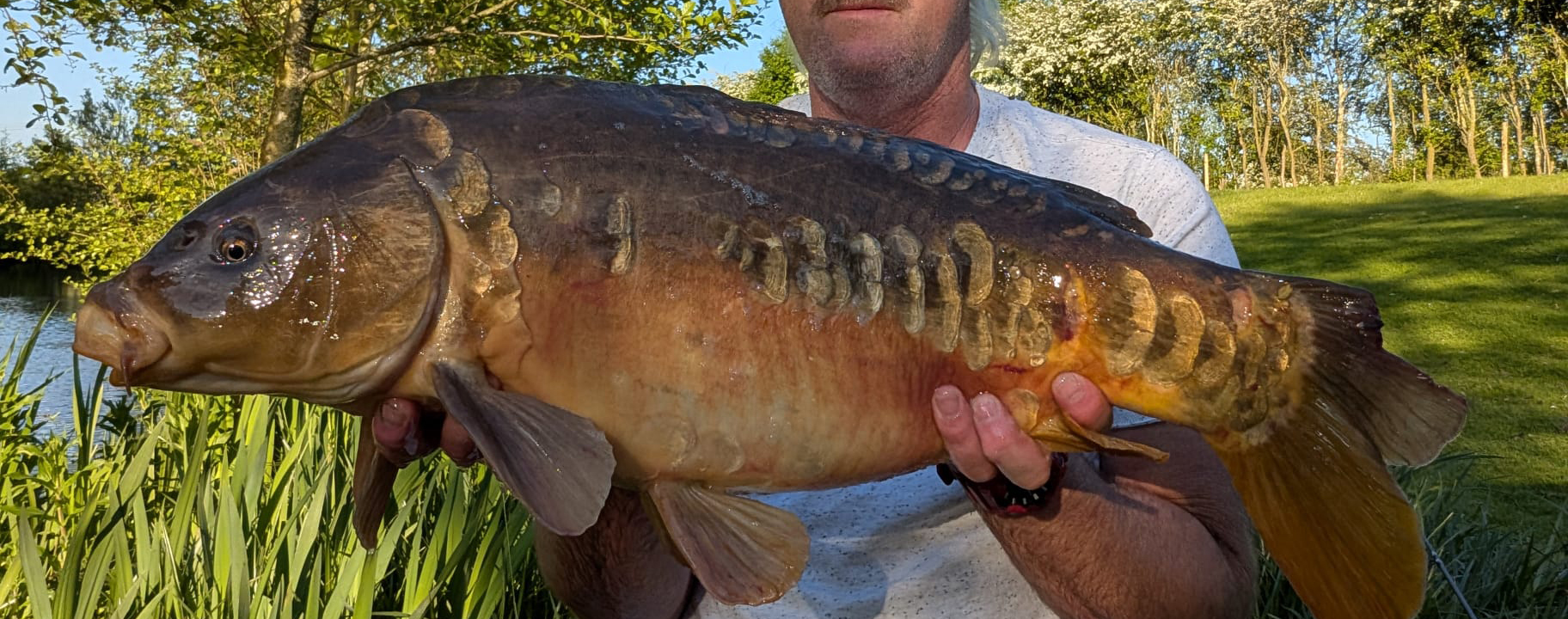 Fish caught at Hawthorn Lake