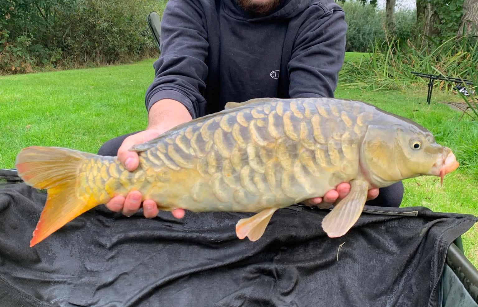 Fish caught at Hawthorn Lake