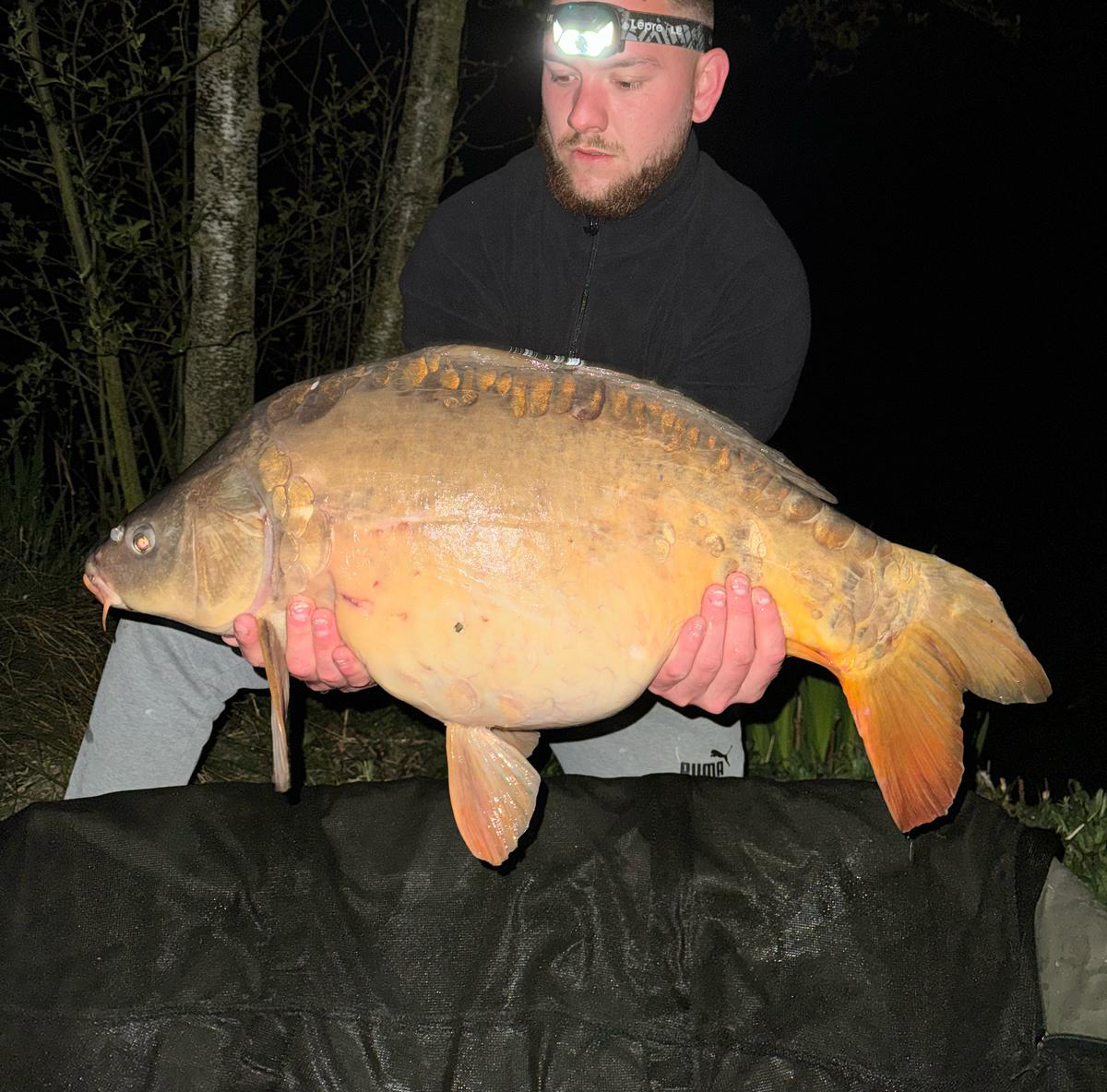 Fish caught at Hawthorn Lake