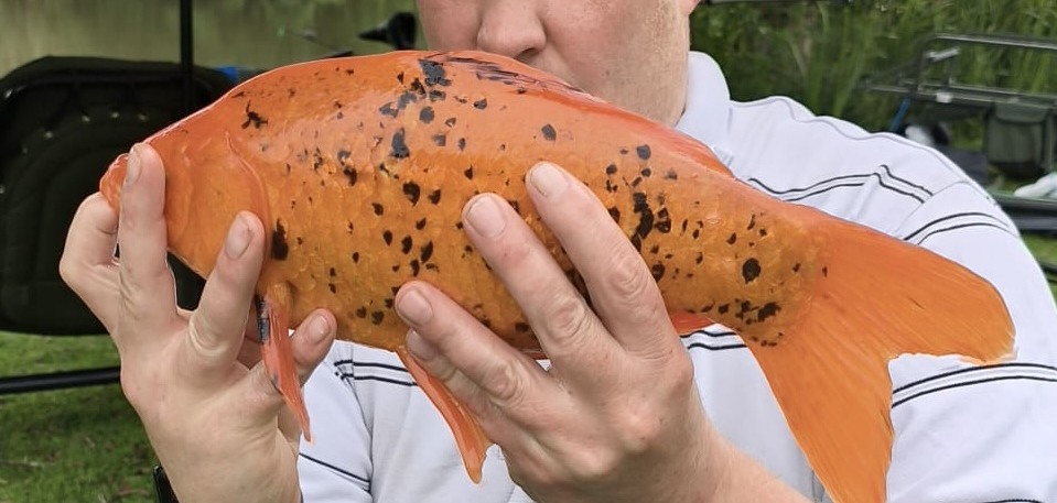 Fish caught at Oak Lake