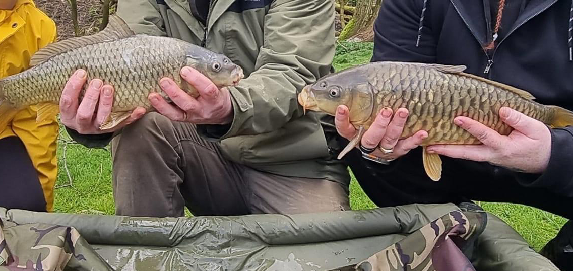 Fish caught at Oak Lake