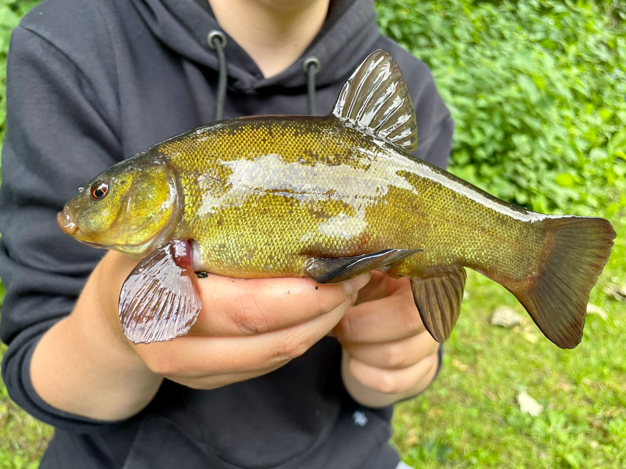 Fish caught at Willow Lake